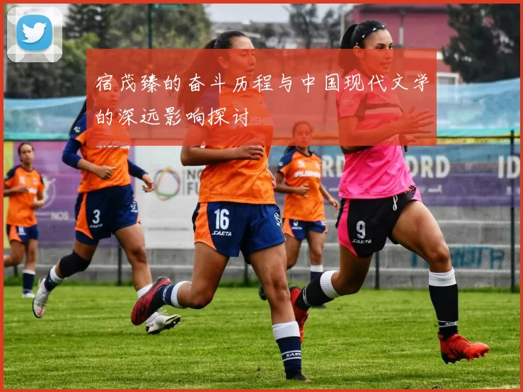 宿茂臻的奋斗历程与中国现代文学的深远影响探讨