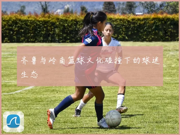 齐鲁与岭南篮球文化碰撞下的球迷生态